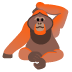 :orangutan: