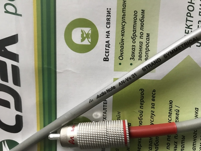 IMG_0537%20(800x600)