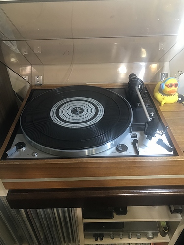 FC5F5819-880F-4598-8953-16921384E49C_1_201_a