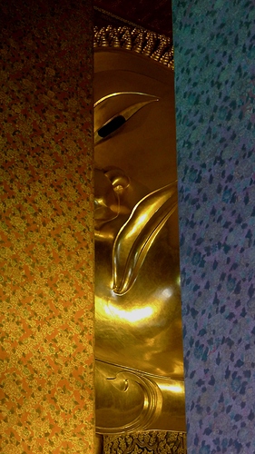 L1010453