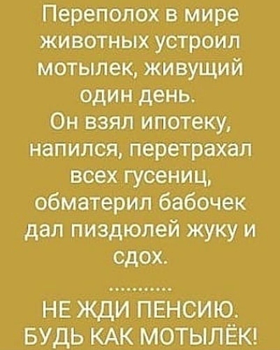 886fd4f9-ac81-4896-b353-3f3d3f90b55e%202