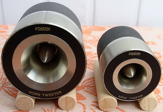 Fostex 1