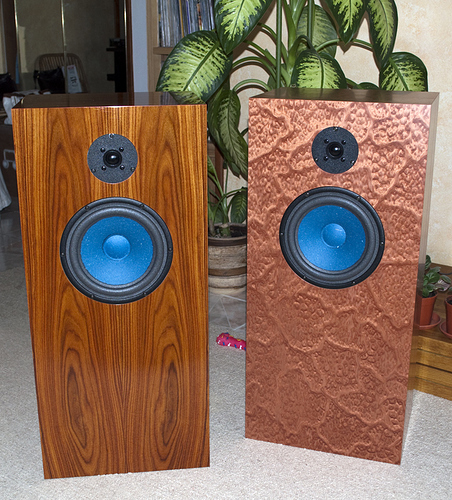 AN-E%20Spe%20HE%20Palissander%20HG%20AN-E%20Spe%20HE%20Madrone%20Burl