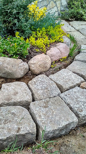 IMG_20200506_181520_HDR