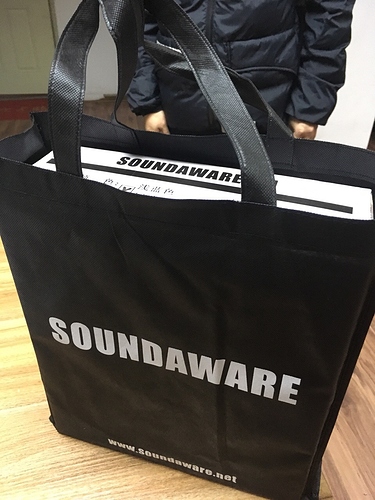 Soundaware_bag