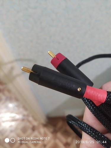 IMG_20190625_014438-1200x1600