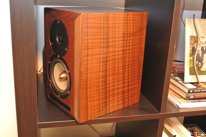 1096233-salk-sound-wow1-speakers