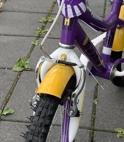 auchanbike2
