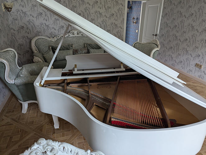 PXL_20250515_124738757