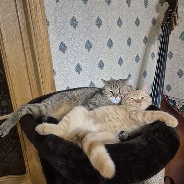 photo_2026-02-04_17-10-50