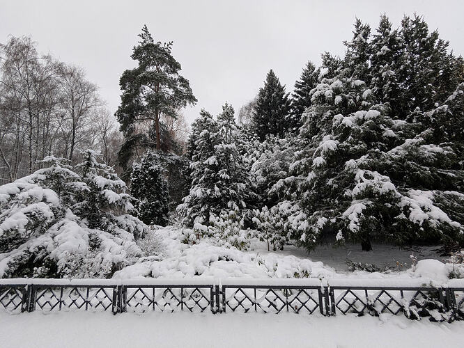 PXL_20251226_063932206