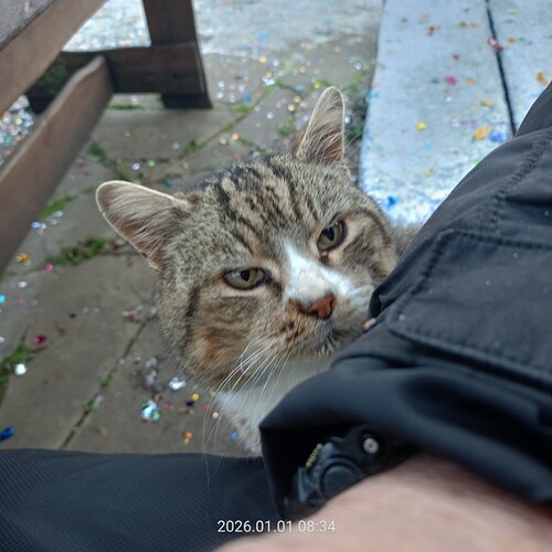 IMG20260101083404_copy_800x800