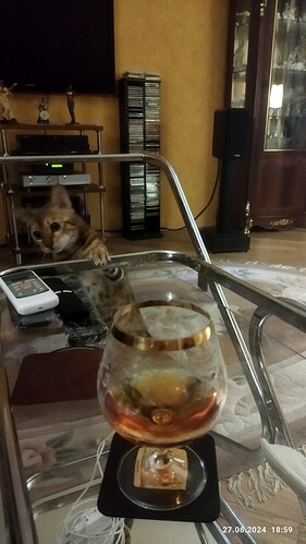 IMG_20240627_185936_copy_768x1365