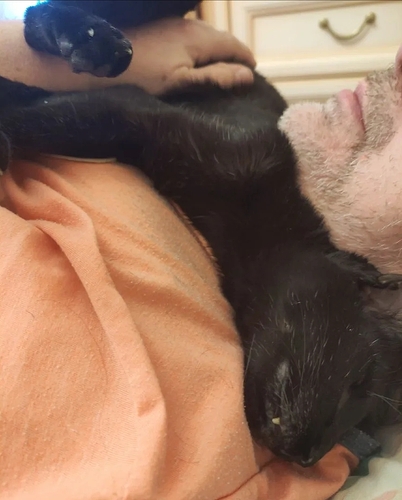 upload_2026_01_31_09_00_21_138