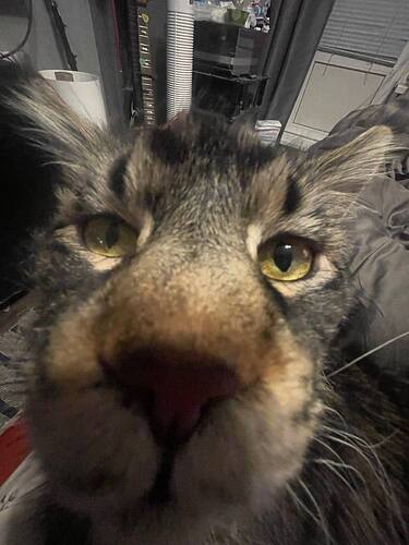 -5364251747561883383_121