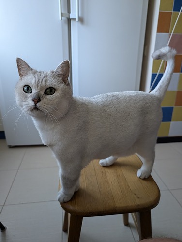 PXL_20240704_040900322