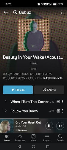 Screenshot_20250403_182023_com_lenbrook_sovi_bluesound_MainActivity