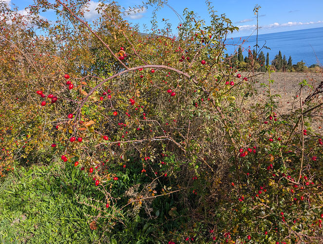 PXL_20251026_103253835