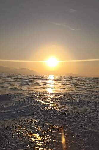 IMG_1730897791086