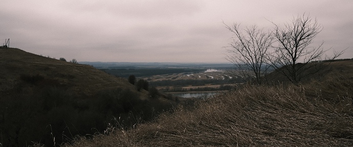 DSCF3650