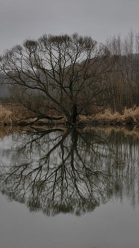 _2025-12-02 15-30-05