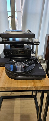 17305494238342486392696683090513