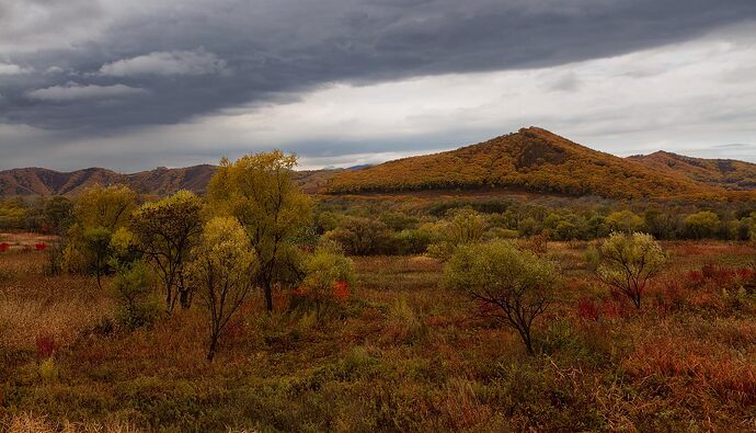 красная осень_2