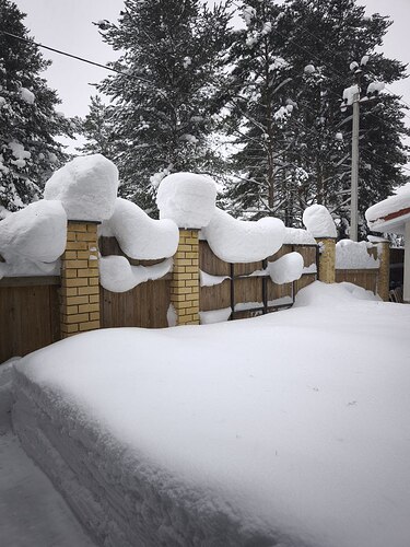 photo_23_2026-02-16_22-30-49
