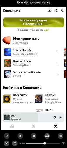 Screenshot_20250910_090338_com_eversolo_control_RemoteScreenVActivity
