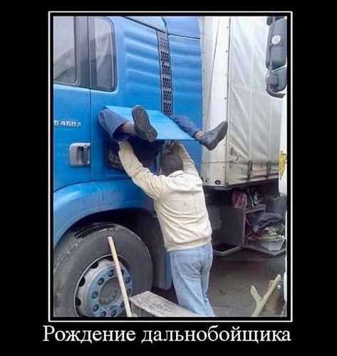 д