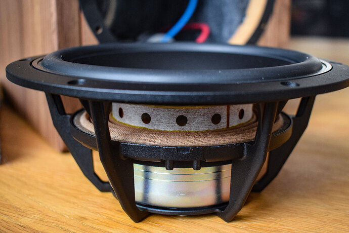 Dynaudio_Heritage_Special-TMT