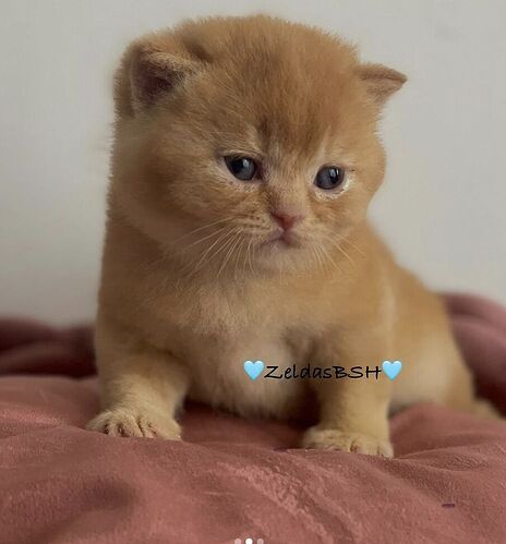 Screenshot 2024-07-02 at 18.07.51