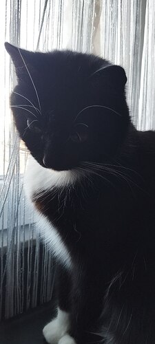 photo_2026-02-03_11-33-44