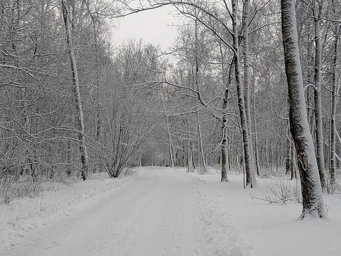 PXL_20251226_064207684