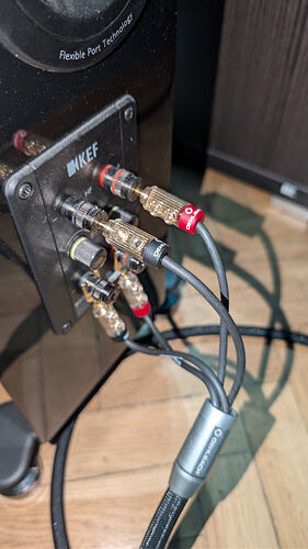 PXL_20251103_174013148