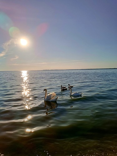 Калининградский залив