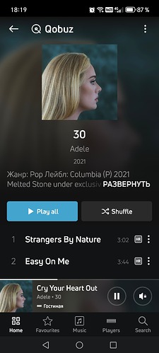 Screenshot_20250403_181926_com_lenbrook_sovi_bluesound_MainActivity