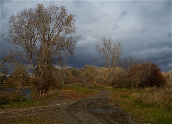 DSCF6516