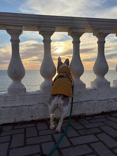 photo_2026-01-06_16-51-25