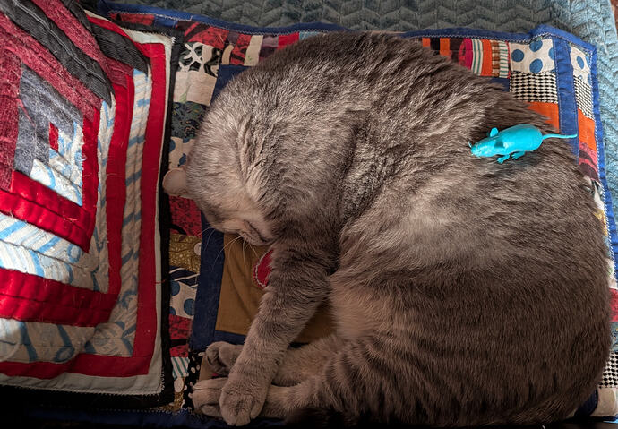 PXL_20251102_062431727