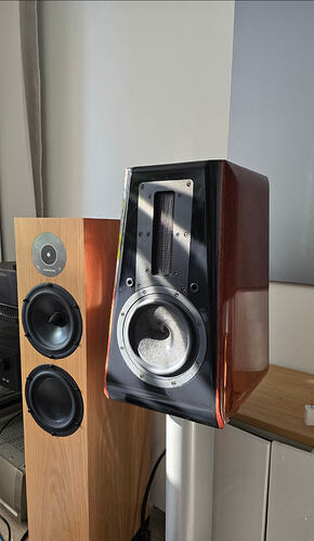 Screenshot_20251204_105451_Gallery