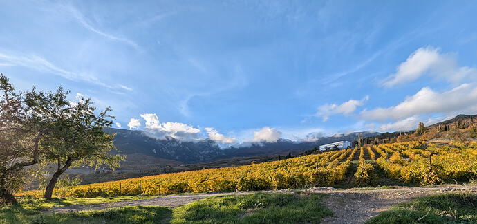 PXL_20251030_131728566