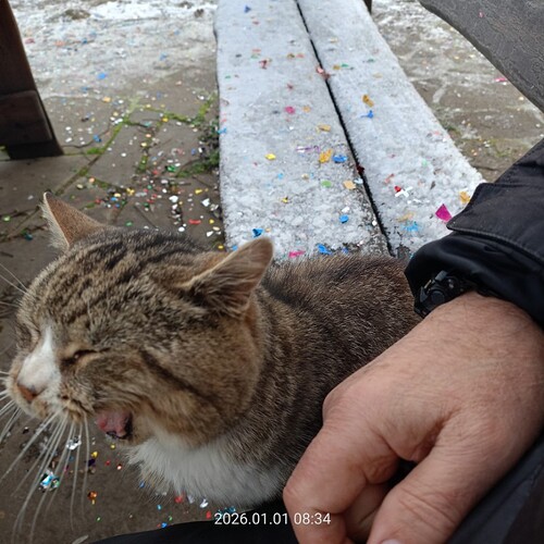 IMG20260101083411_copy_800x800