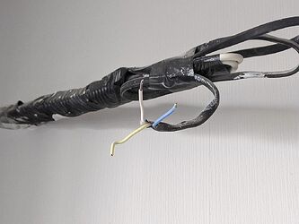 PXL_20240411_064945828