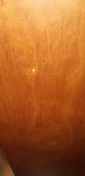IMG-20221029-WA0015