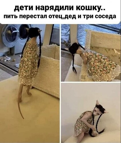 Так вот вы какие... эльфы...