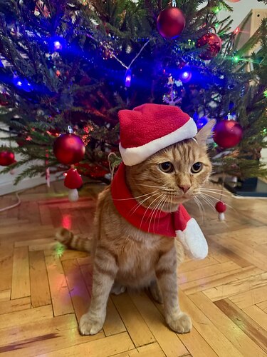 photo_2026-01-04_21-03-38