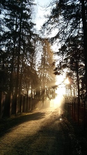 IMG_20251114_185711_840