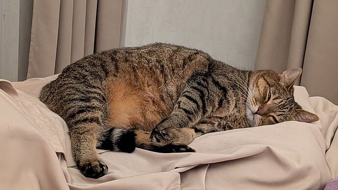 IMG_20251101_200033_767