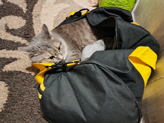 IMG_20260207_212554_593